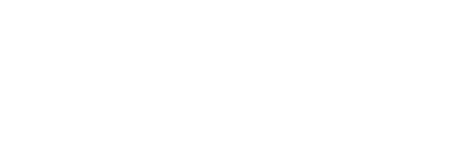 VAYDOR Logo